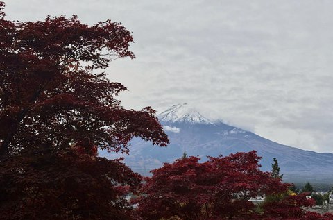 Tokyo: Arakurayama Sengen Park