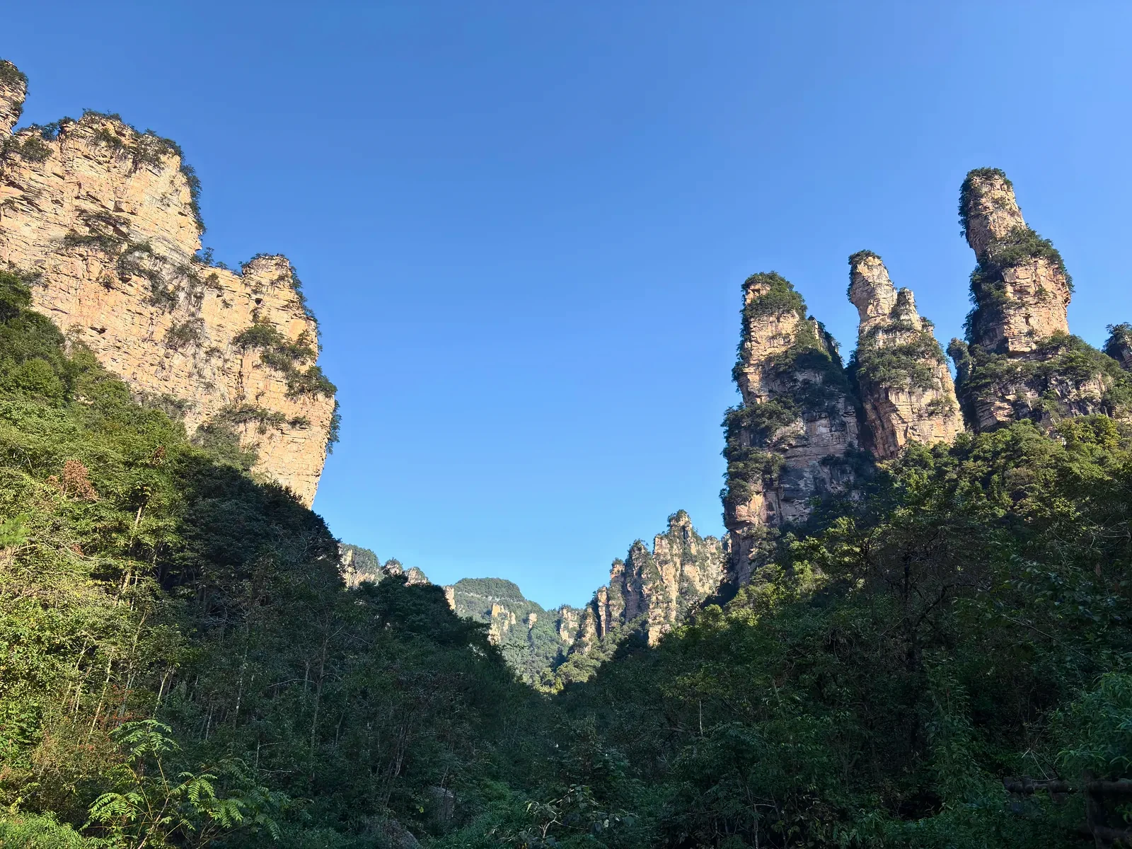 Cluster of sandstone pillars seen from the valley floor
