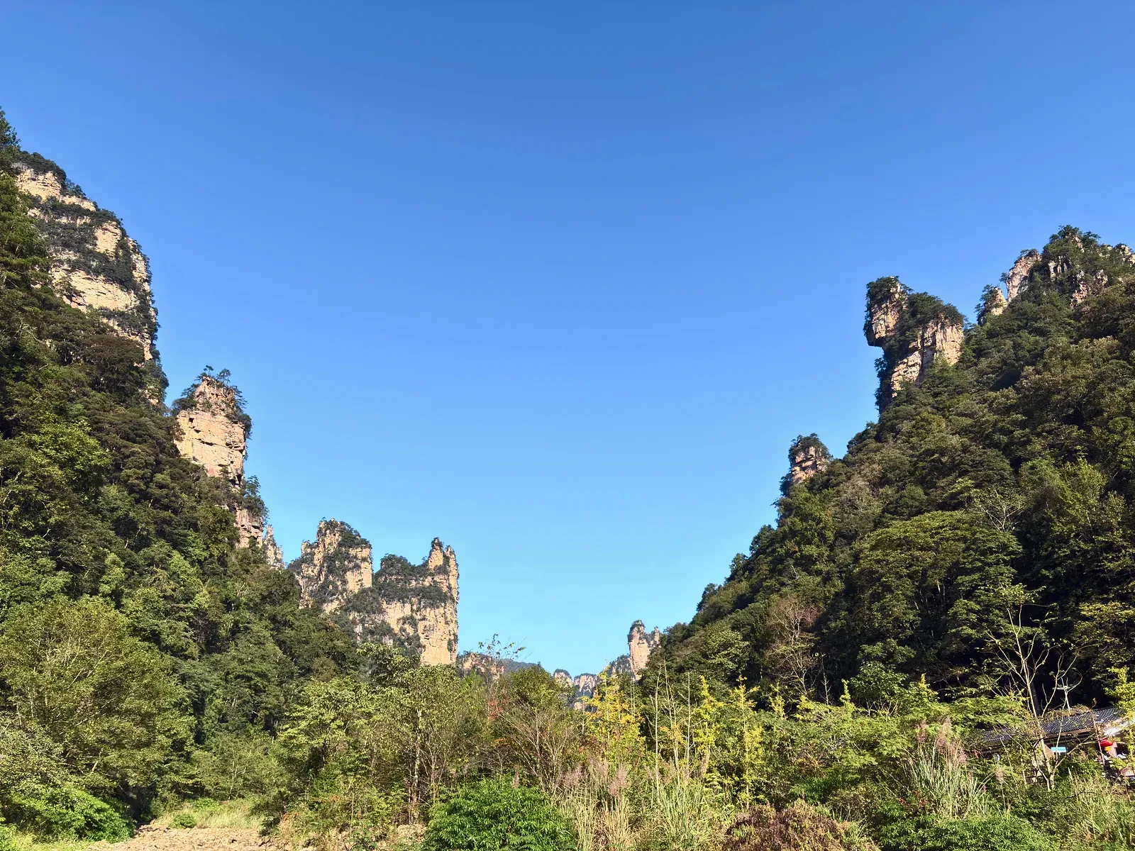 Sunlit sandstone peaks rising above the forest along Ten-Mile Gallery