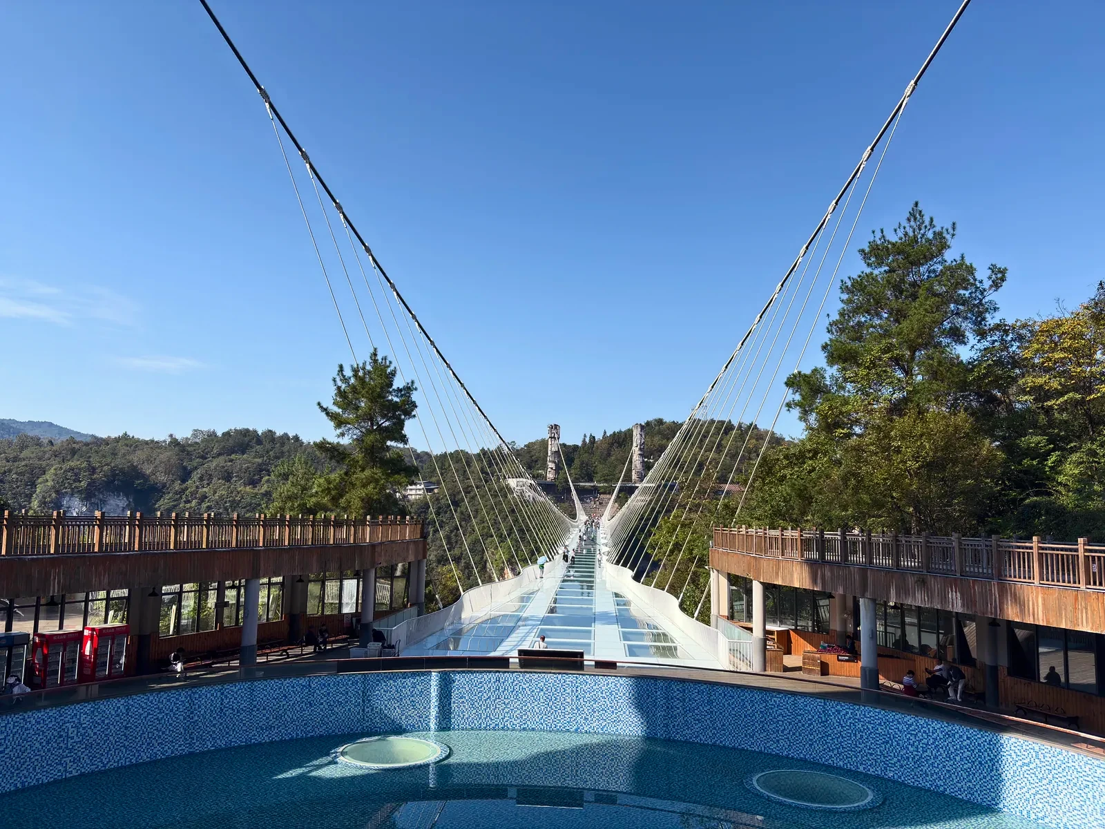 Zhangjiajie Grand Canyon Glass Bridge stretching between wooded cliffs